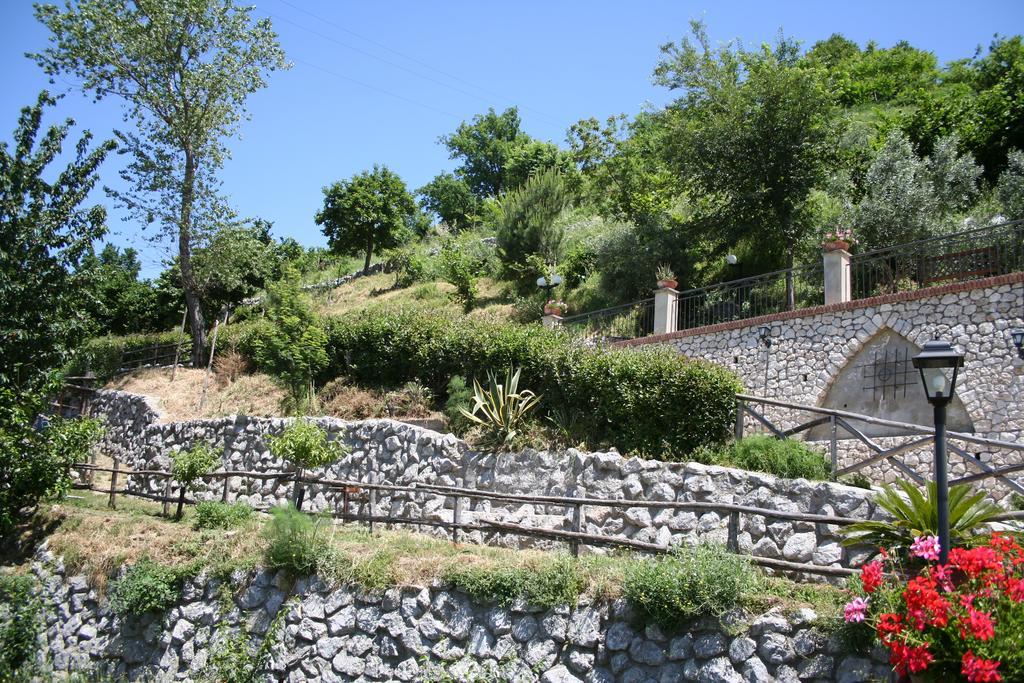 Agriturismo La Grotta Corbara  Exterior foto